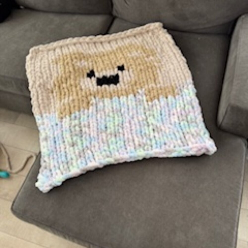 Handmade/Knit Baby or Toddler Blanket